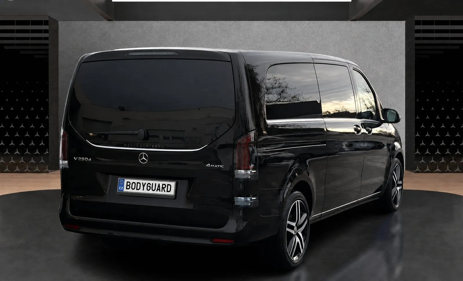 V-Class V250d XL Avantgarde - vista posteriore